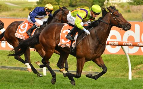 railway stakes field